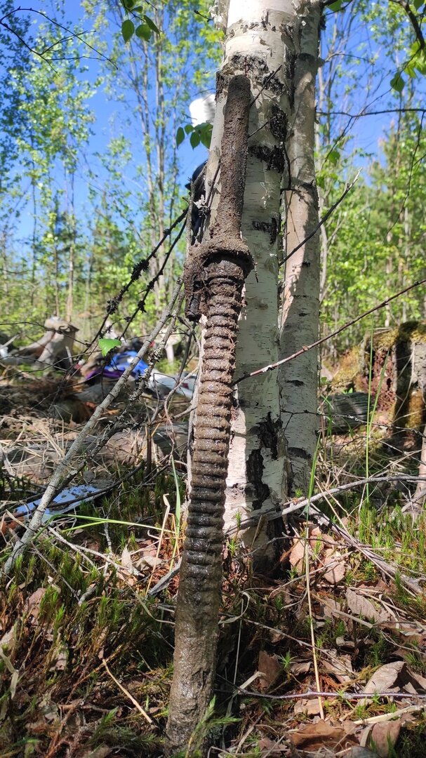 Война и домино. Вещи солдата из лесной воронки