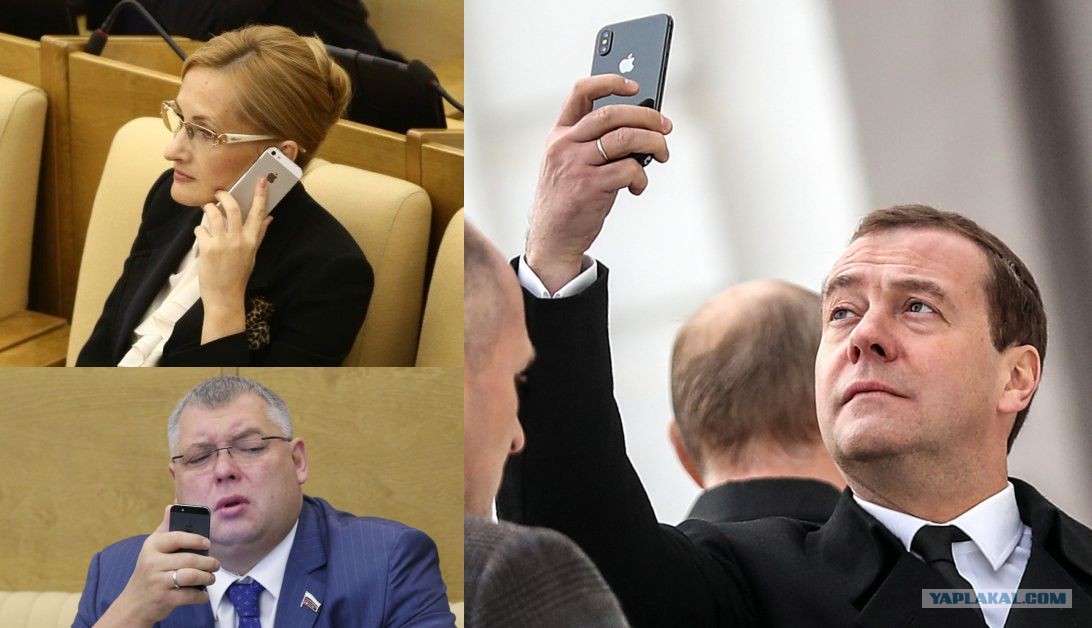 Еслибыуменябылтакойкот. У меня может быть. Харуки мураками норвежский лес цитаты из книги. У меня может быть. Цитаты воспринимать действительность.