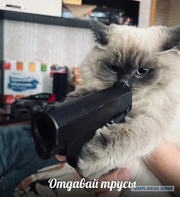 Очередное покушение на Трампа