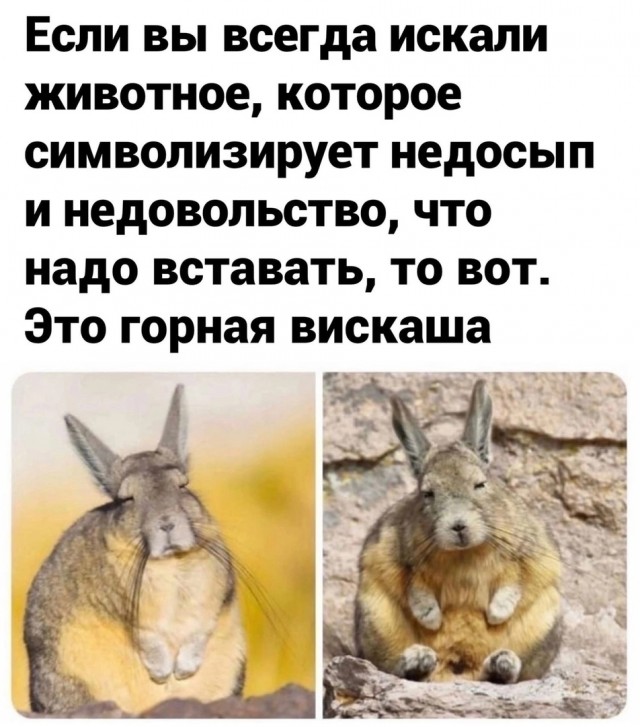Так себе картинки 08.10.24
