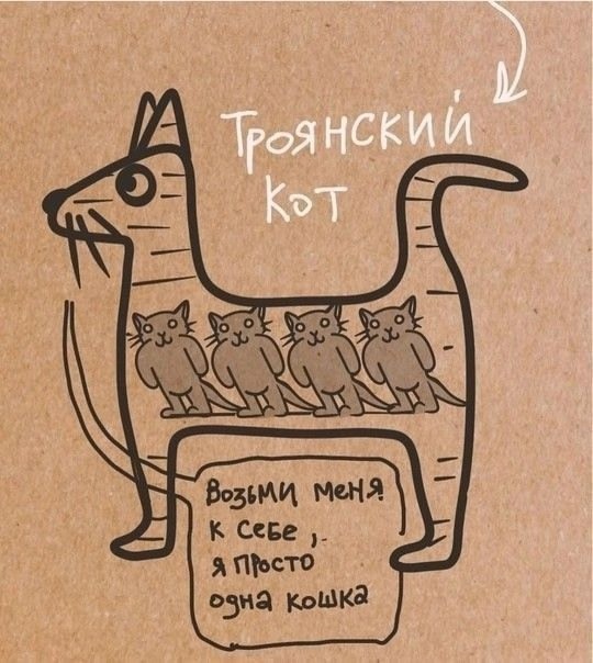 Картинки для деградации 40 (разной степени свежести)
