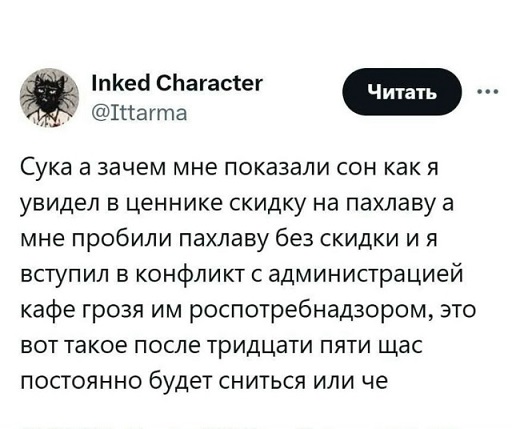 Мой кот
