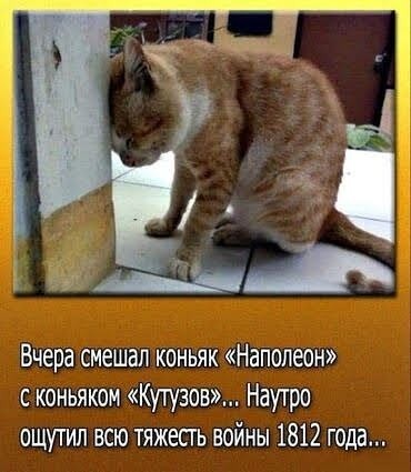 Картинки для деградации 165 (разной степени свежести)