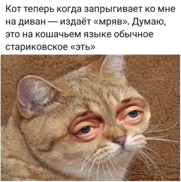 Картиночки, баянчики 14 июня