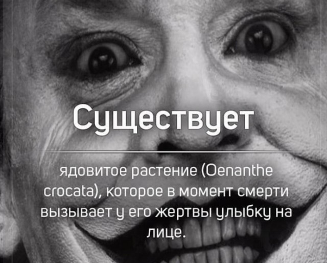 Так себе картинки 18.07.26