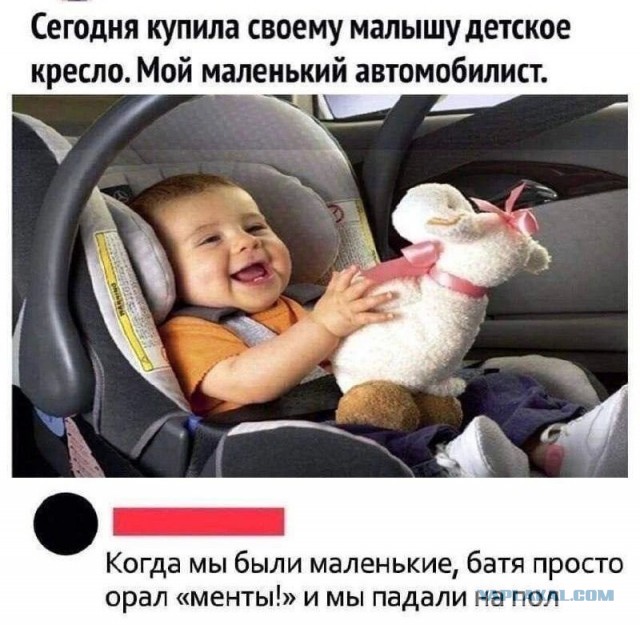 Картинки для деградации 261 (разной степени свежести)