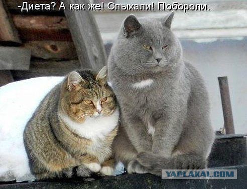 Не про олимпиаду