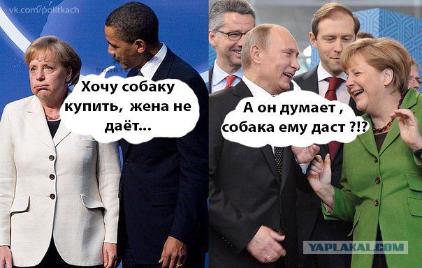 Желающим пожабить.