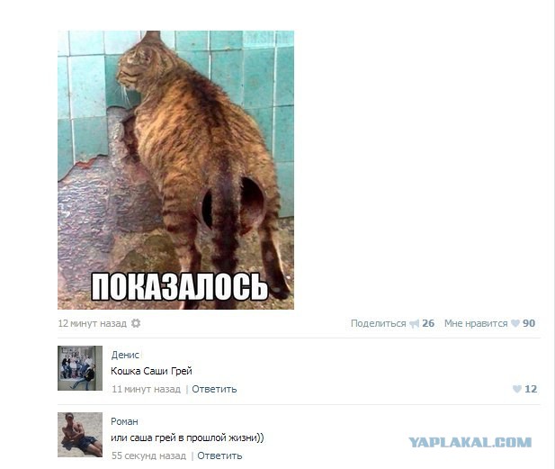 Пятничная подборка для поднятия настроения