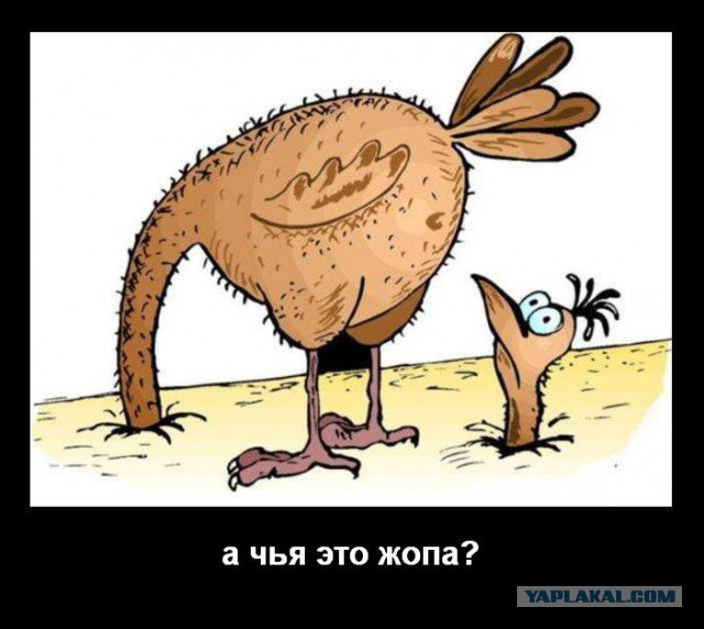 Макаревич бесплатно