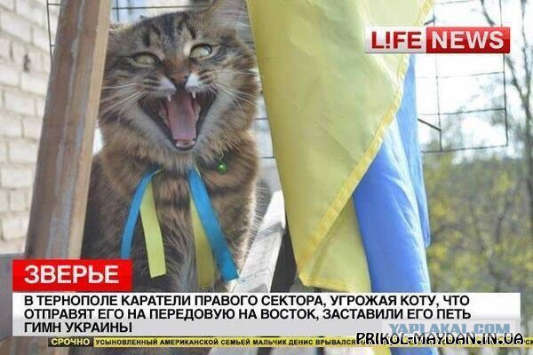 Свежая подборка демотиваторов
