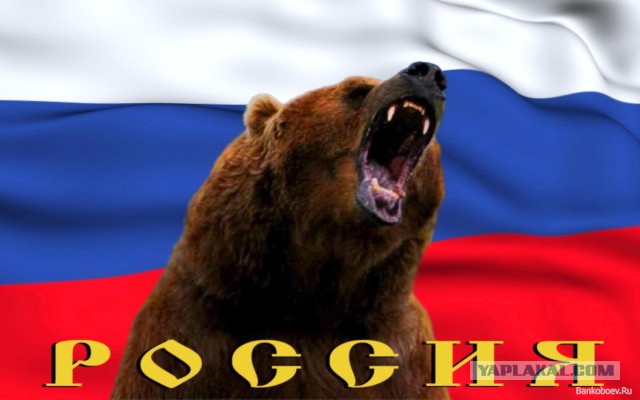 День Государственного флага Российской Федерации