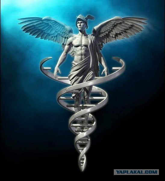 Весь Мир и Вселенная числовая матрица