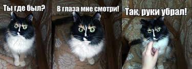 Братишки, я вам картинок принёс!