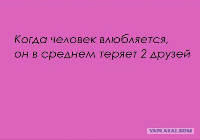 20 фактов обо всем