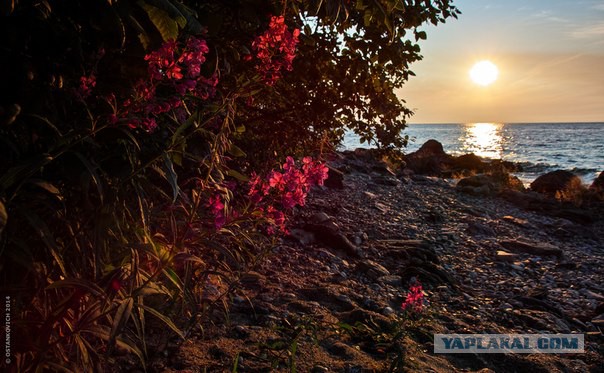 Фотографии, в которых очень сложно узнать Россию