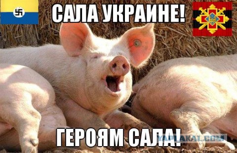 Уоррен Баффетт украинского Кабмина