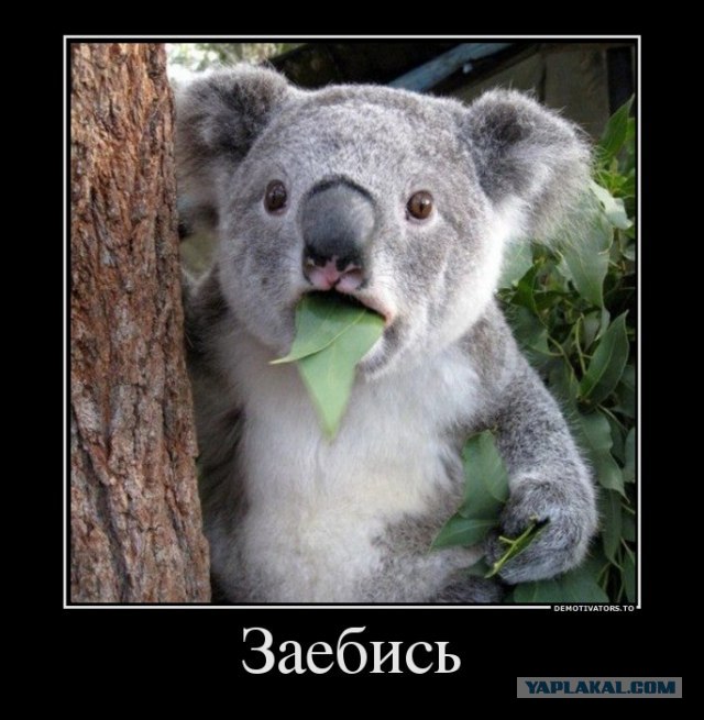 А ты упоротый?