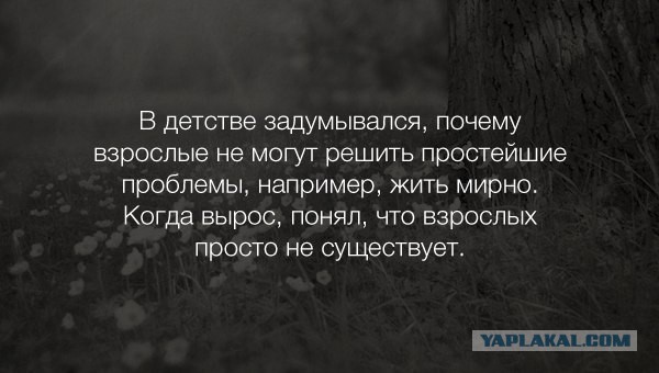 Картинок из сети немножко