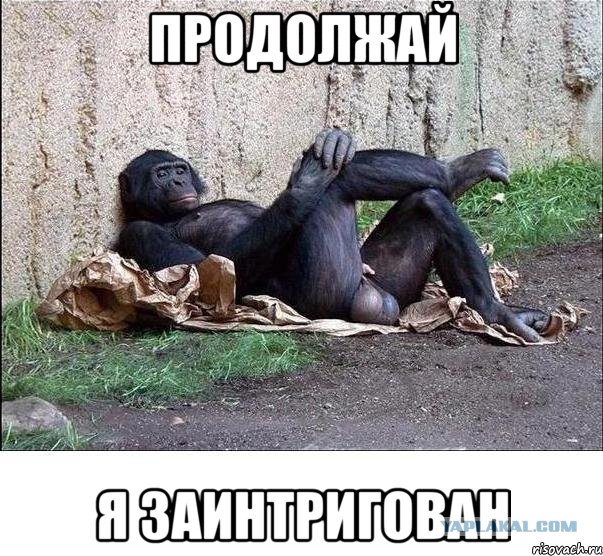 13 женских косяков