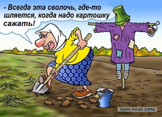 Посажено!