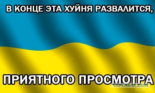 Солянка политическая #6