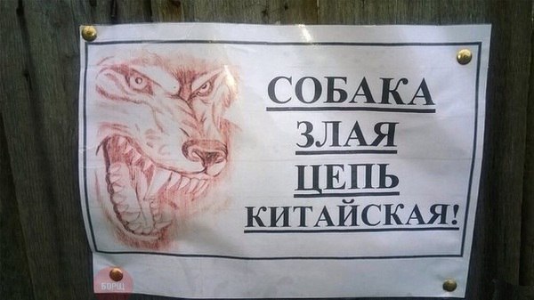 Прикольные картинки