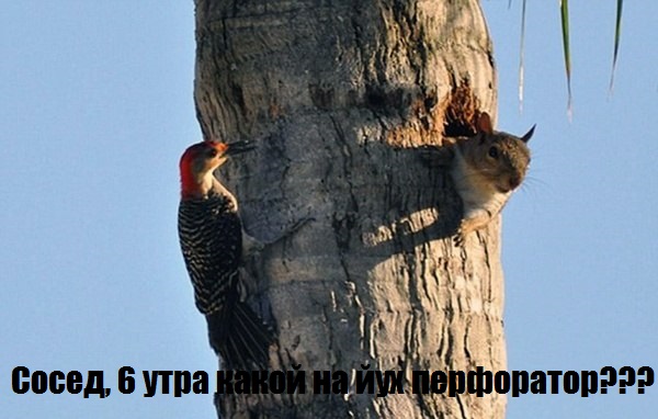Про соседей