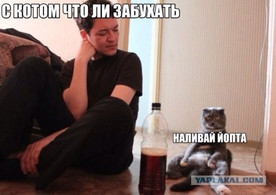 Картинки из инета