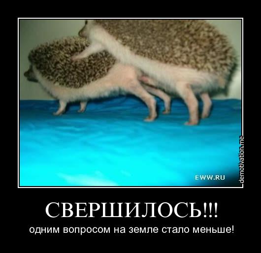 Сильвупле...