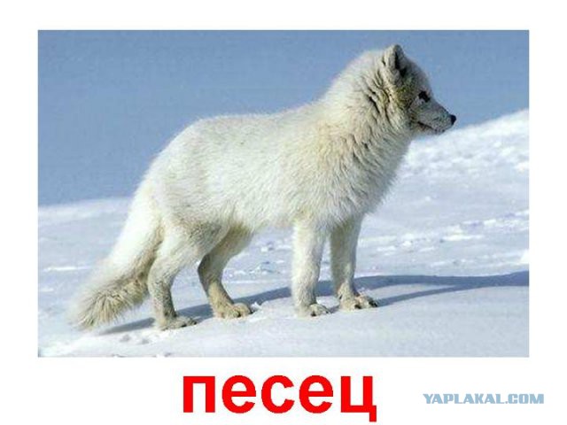 У нас украли лето и здоровье!