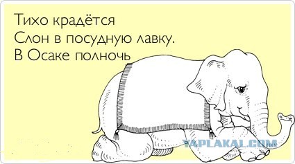 Когда моя жена(мама, девушка) спит