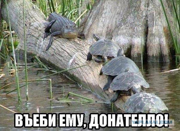 Первый трейлер Черепашек-Ниндзя 2