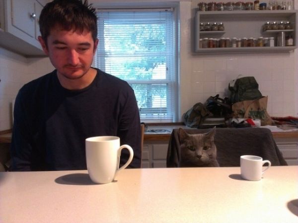 А давайте улыбнёмся В Новом Году