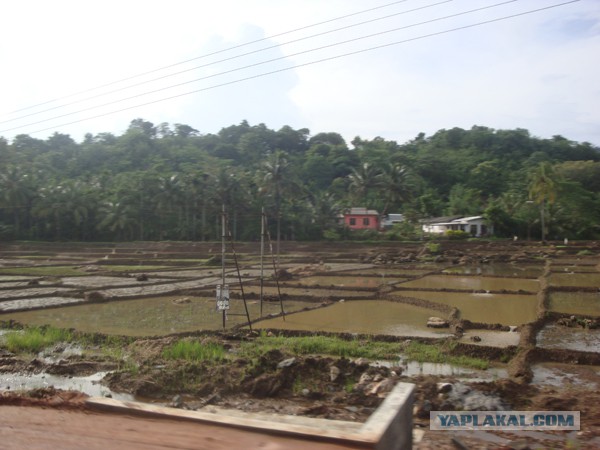Самостоятельное путешествие в Шри-Ланку