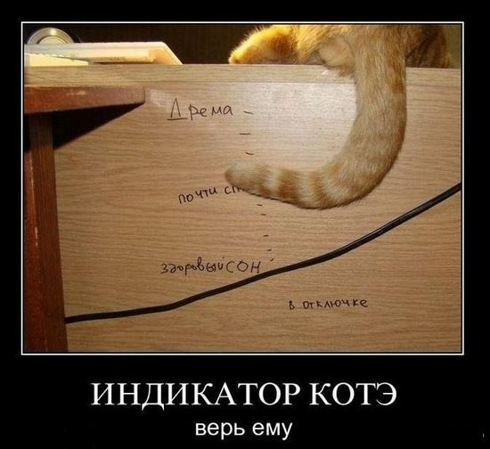 Картинки, СМСки из вашего тырнета