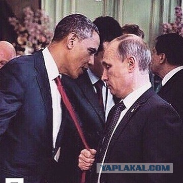 Карикатуры от Студии 13