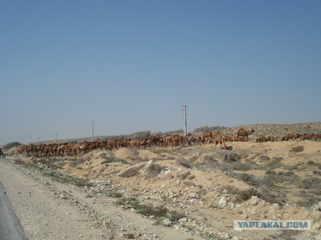 Путешествие по Ирану