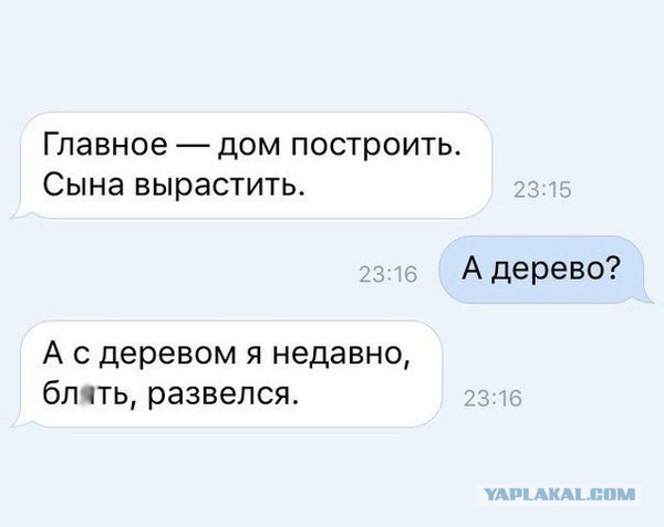 Смешные комментарии из социальных сетей 15.04.2016.