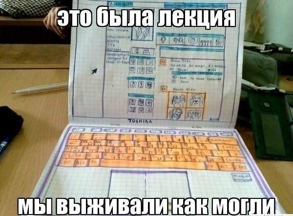 Забавные картинки из сети