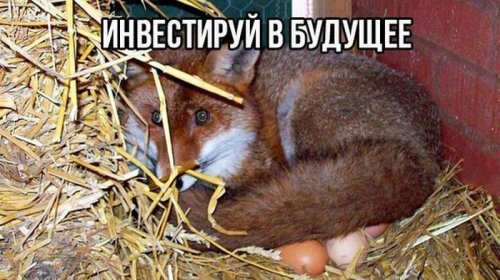 Картинки на пятницу