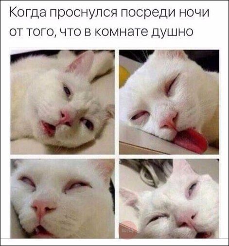 Смешные комментарии 06.07.2016