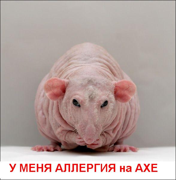Фотожаба: Съемочная площадка