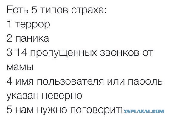 Картинки и приколы из сети