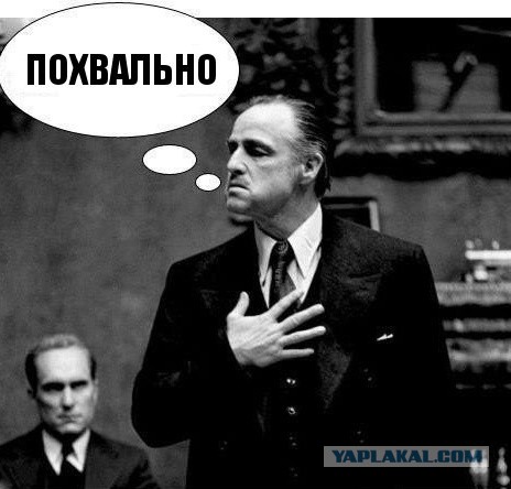 В Пензе полицейские приняли удар лихача и спасли пешеходов
