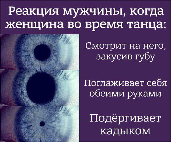 Записки сумасшедшего, или воскресные мысли вслух