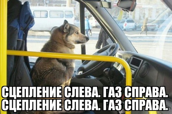 Подборка интересных и веселых картинок