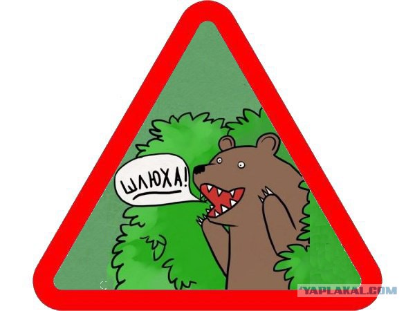За отсутствие знака\наклейки Шипы будут штрафовать!
