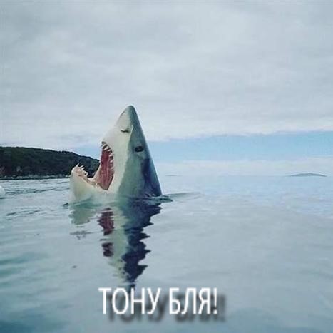 Картинки. Тупые. Очень. 18+ продолжение снова