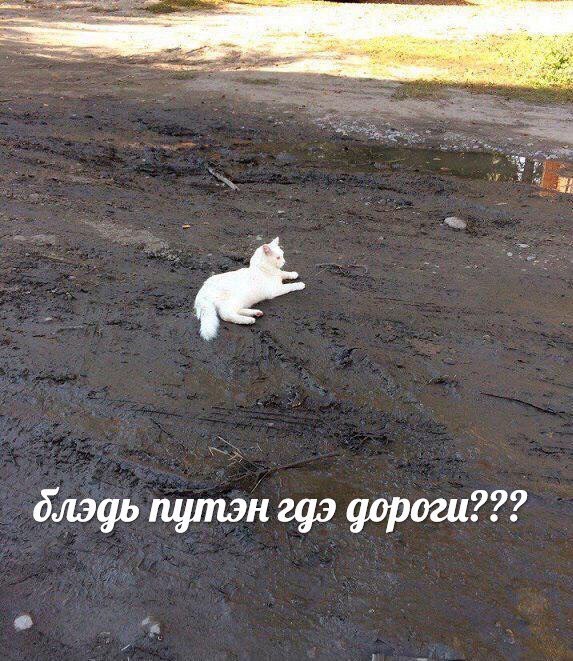 Интеллектуально-деградационный юмор на ЯПе
